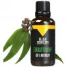 Biolavit olejek eteryczny Eukaliptusowy 100% organic 10ml