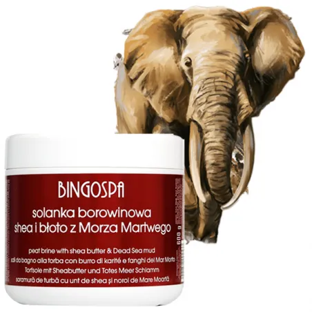 BingoSpa solanka borowinowa z masłem Shea i błotem z morza Martwego 600g