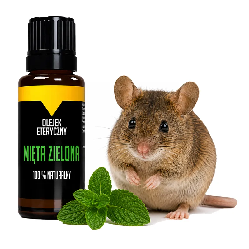 Olejek miętowy na myszy gryzonie Bezpieczny dla Dzieci Naturalny eteryczny 10ml