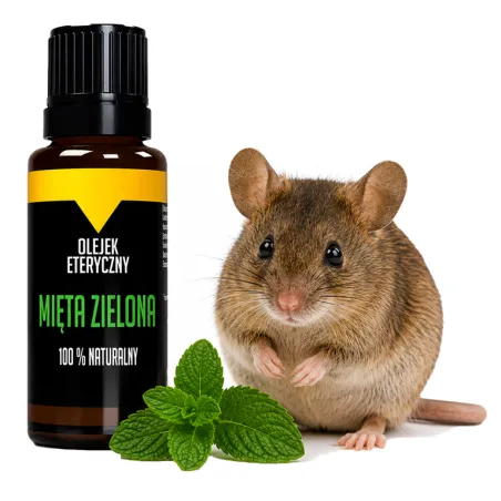 Olejek miętowy na myszy gryzonie Bezpieczny dla Dzieci Naturalny eteryczny 10ml